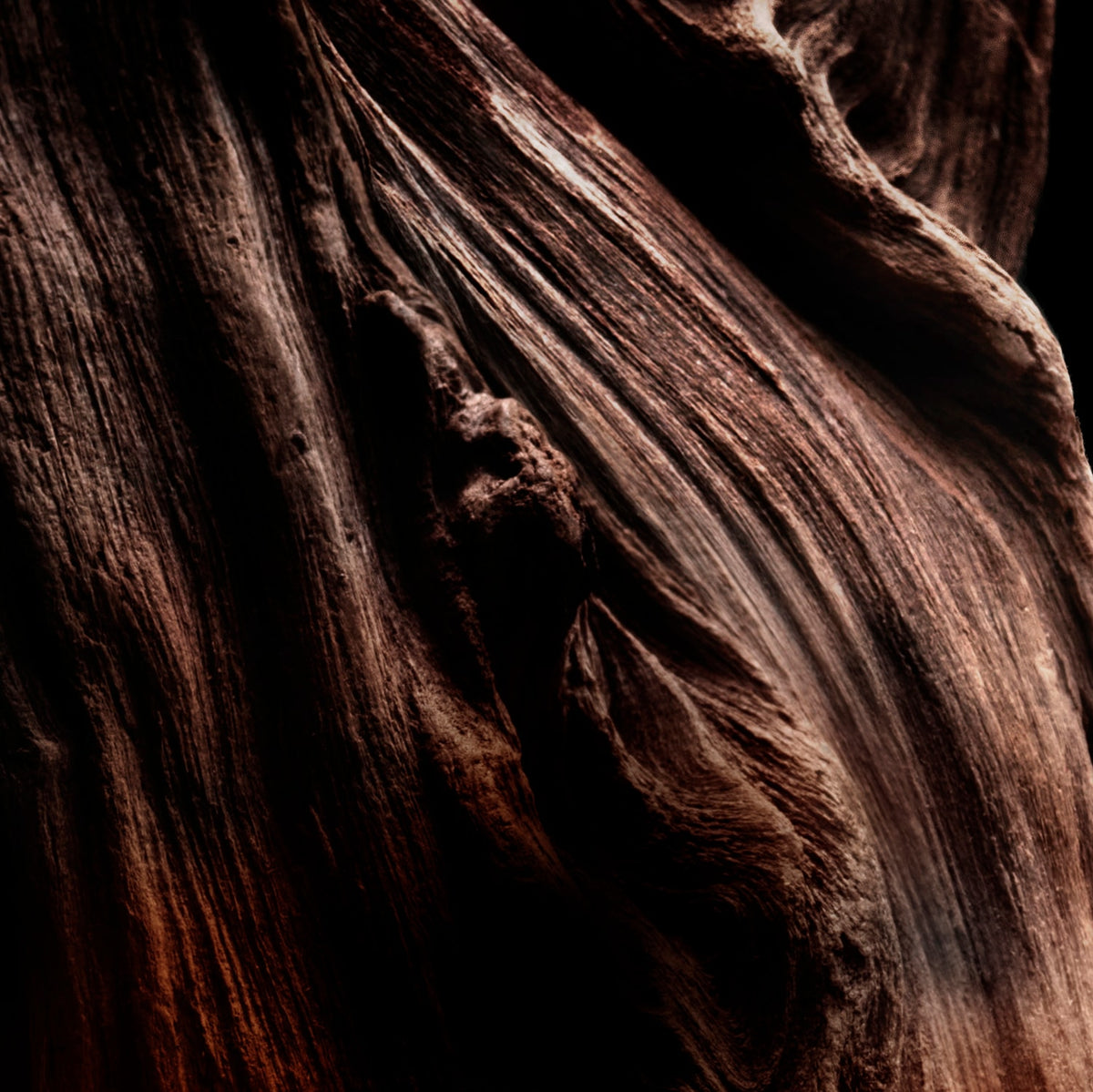Absolus Allegoria Oud Essentiel